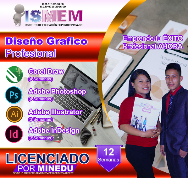Diseño grafico profesional